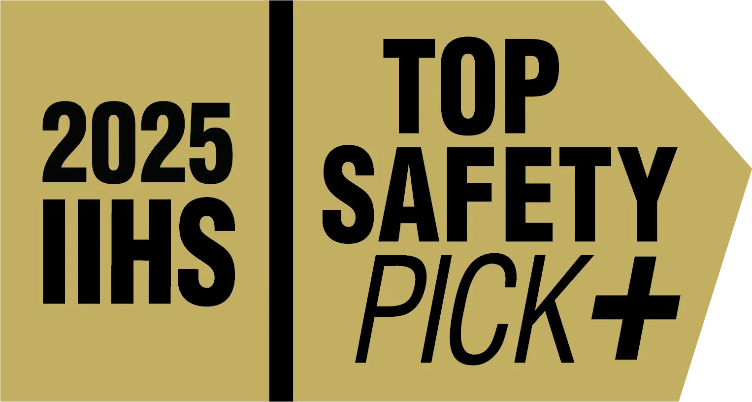 2025 IIHS Top Safety Pick Plus 2025 IIHS Top Safety Pick Plus award badge