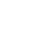 Tires Icon White tires icon