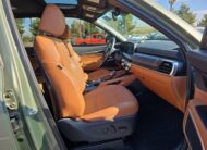 2023 Kia Telluride EX X-Line SUV