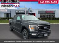2023 Ford F-150 XLT Truck SuperCrew Cab