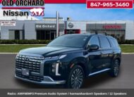 2025 Hyundai Palisade Calligraphy SUV