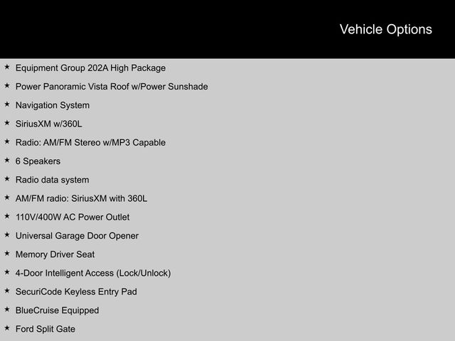 2025 Ford Expedition Active SUV