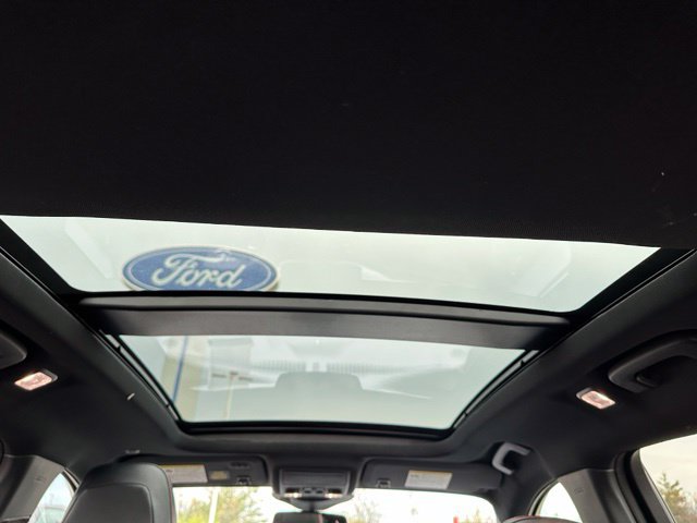 2023 Ford Escape ST-Line Elite SUV