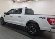 2023 Ford F-150 XL Truck SuperCrew Cab