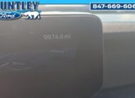 2025 Ford Expedition Active SUV