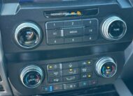 2020 Ford F-150 Platinum Truck SuperCrew Cab