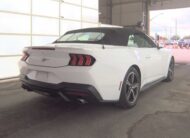 2024 Ford Mustang Ecoboost Premium Convertible