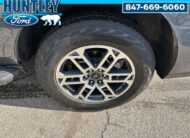 2025 Ford Expedition Active SUV