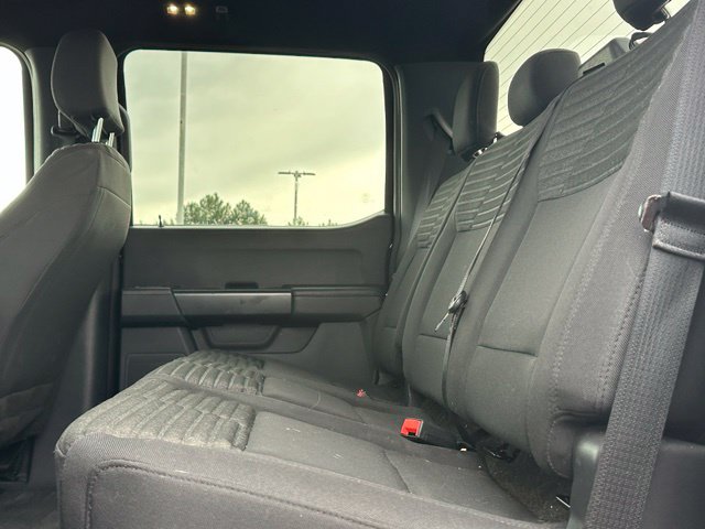 2023 Ford F-150 XL Truck