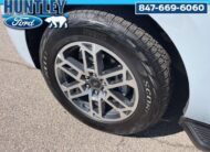 2025 Ford Expedition Max Active SUV