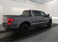 2023 Ford F-150 XLT Truck SuperCrew Cab