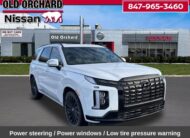 2025 Hyundai Palisade Calligraphy Night Edition SUV