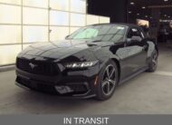 2024 Ford Mustang Ecoboost Premium Convertible