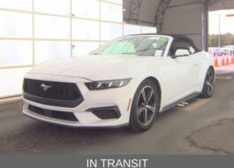 2024 Ford Mustang Ecoboost Premium Convertible