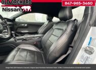 2019 Ford Mustang GT Premium Coupe