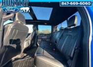 2020 Ford F-250 Platinum Truck Crew Cab