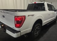 2023 Ford F-150 XLT Truck SuperCrew Cab