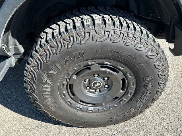 2024 Ford Bronco Everglades SUV