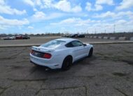 2019 Ford Mustang GT Premium Coupe