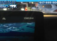 2025 Ford Expedition Active SUV