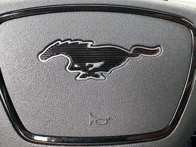2023 Ford Mustang Mach-E GT SUV