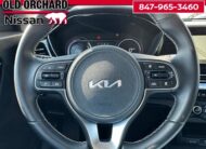 2022 Kia Niro EV EX SUV