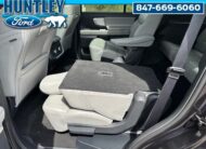 2025 Ford Expedition Active SUV