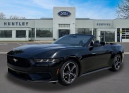 2024 Ford Mustang Ecoboost Premium Convertible