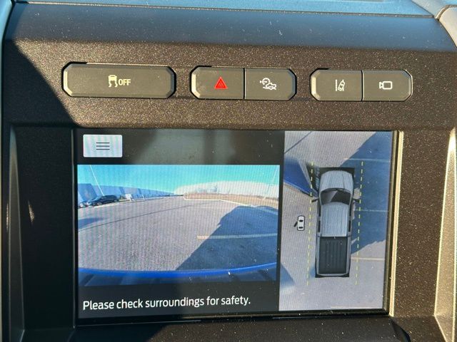 2020 Ford F-250 Platinum Truck Crew Cab