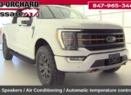 2023 Ford F-150 Tremor Truck SuperCrew Cab