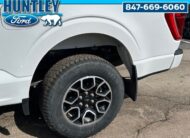2023 Ford F-150 XLT Truck SuperCrew Cab