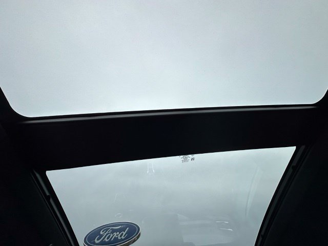 2023 Ford Escape ST-Line Elite SUV