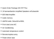 2022 Dodge Durango R/T Plus SUV