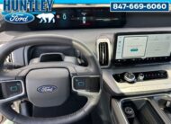 2025 Ford Expedition Active SUV