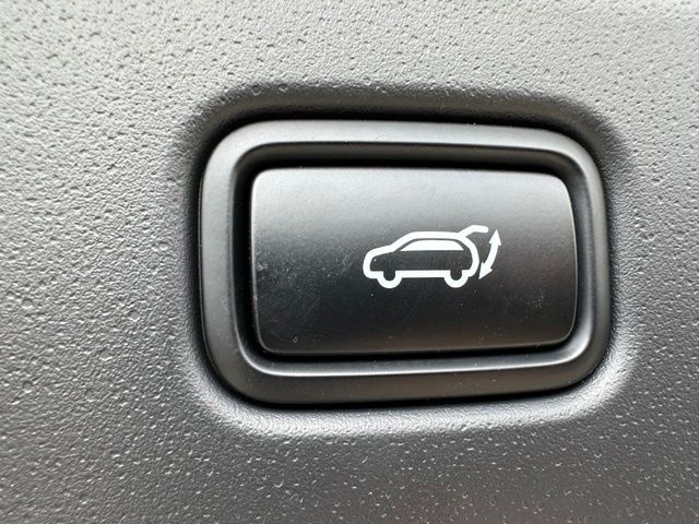 2023 Kia Niro EV Wave SUV