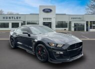 2021 Ford Shelby GT500 Shelby GT500 Coupe