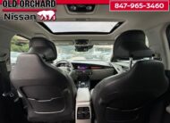 2023 Kia Niro EV Wave SUV