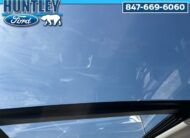 2025 Ford Expedition Max Active SUV