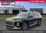 2025 Hyundai Palisade Calligraphy SUV
