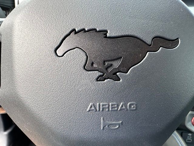 2024 Ford Mustang Dark Horse Coupe