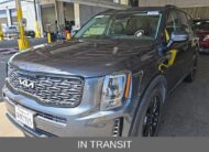 2022 Kia Telluride EX SUV
