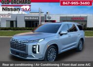 2025 Hyundai Palisade Calligraphy SUV