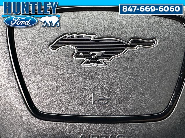 2024 Ford Mustang Mach-E GT SUV