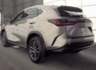 2024 LEXUS NX 350 350 Premium SUV