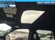 2022 Ford Expedition Limited SUV