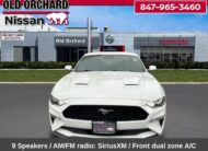 2019 Ford Mustang GT Premium Coupe