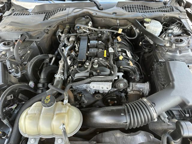 2023 Ford Mustang Ecoboost Premium Convertible