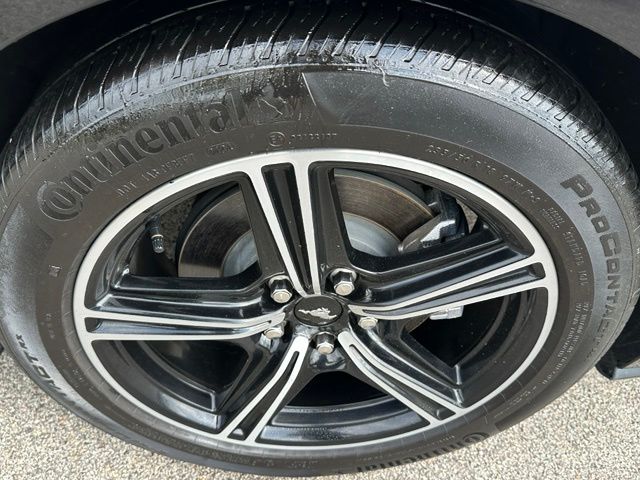 2024 Ford Mustang Ecoboost Premium Coupe
