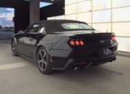 2024 Ford Mustang Ecoboost Premium Convertible