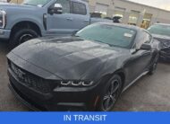 2024 Ford Mustang Ecoboost Premium Coupe